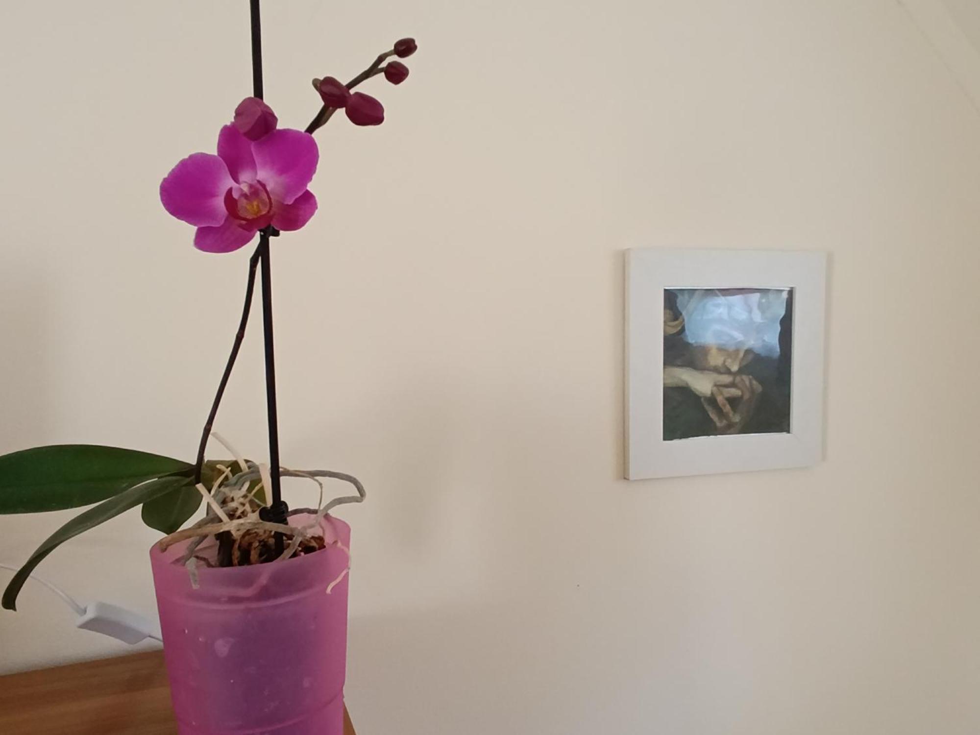 אגר Cehmesterek Apartman מראה חיצוני תמונה